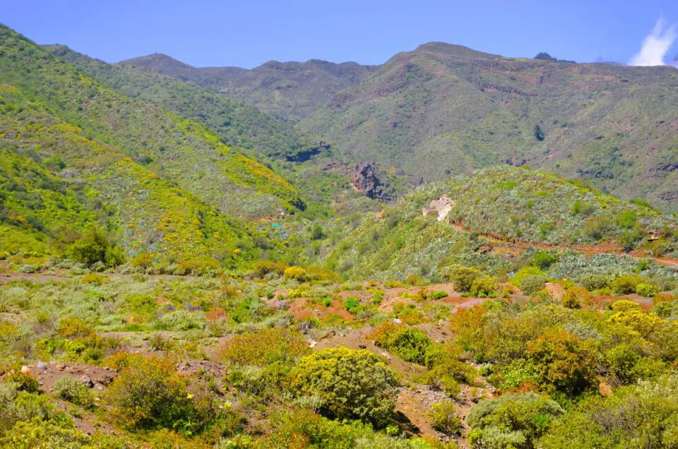 Gran Canaria Sehenswürdigkeiten: Im Barranco de los Cernícalos gibt es gute Wanderwege.