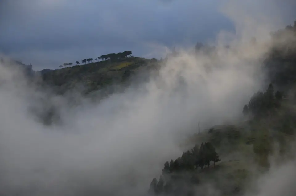 Von Las Palmas de Gran Canaria lohnt sich ein Tagesausflug ins Gebirge.
