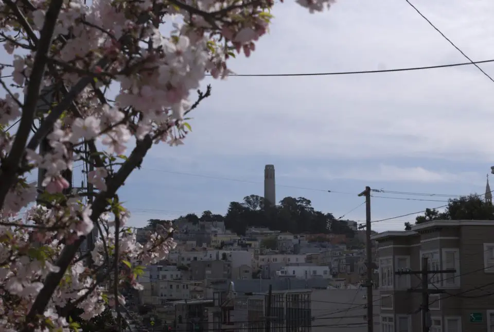 Den Coit Tower empfehle ich als Startpunkt für die Erkundung der San Francisco Sehenswürdigkeiten. Hier siehst du ihn von North Beach aus fotografiert.