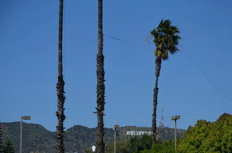 Hier siehst du das berühmte Hollywood-Zeichen vom Hollywood Boulevard bzw. dem Walk of Fame aus gesehen. Beide Attraktionen zählen zu den wichtigsten Los Angeles Sehenswürdigkeiten.