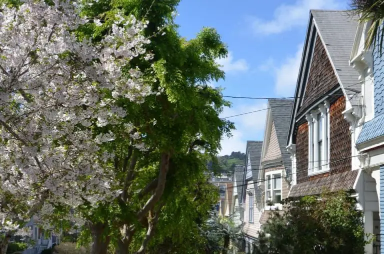 Die 18 schönsten San Francisco Sehenswürdigkeiten (+ wichtige Tipps