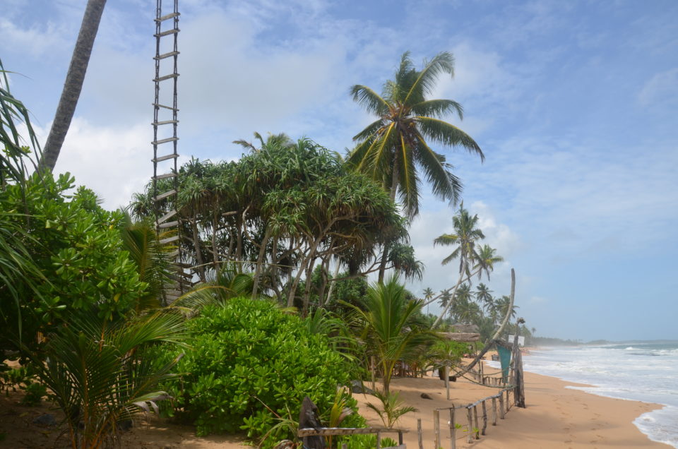 Einer der wichtigsten Sri Lanka Reisetipps ist es, sich von möglichen Versuchen der Sri Lanka Touristenabzocke nicht den Spaß an dem wunderschönen Inselstaat vermiesen zu lassen.