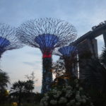 Die Top 20 Singapur Sehenswürdigkeiten, die du nicht verpassen solltest