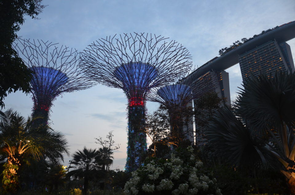 Die Supertrees und das Marina Bay Sands aus den Gardens by the Bay heraus fotografiert. Beide Attraktionen zählen zu den größten Singapur Sehenswürdigkeiten.