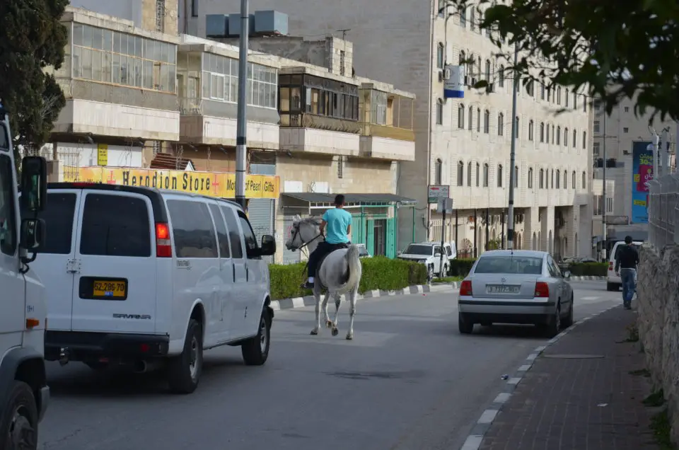 In meinem Bethlehem Reisebericht darf dieses Bild eines Reiters auf den Straßen der Stadt natürlich nicht fehlen.