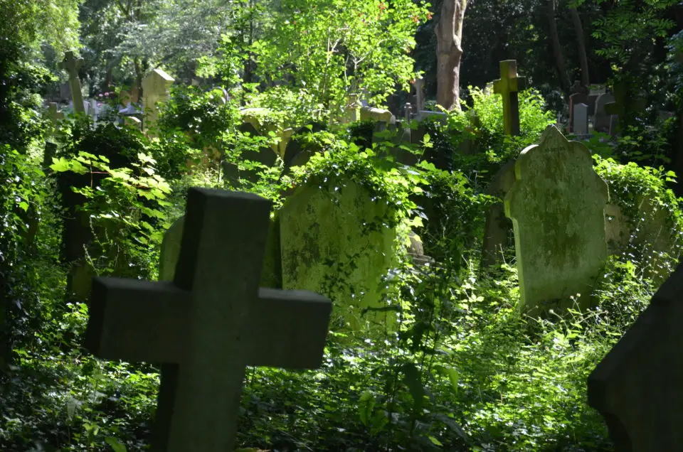 Nicht nur zu meinen London Insider Tipps zählt der Highgate Cemetery West, sondern auch zu meinen Lieblingsorten überhaupt