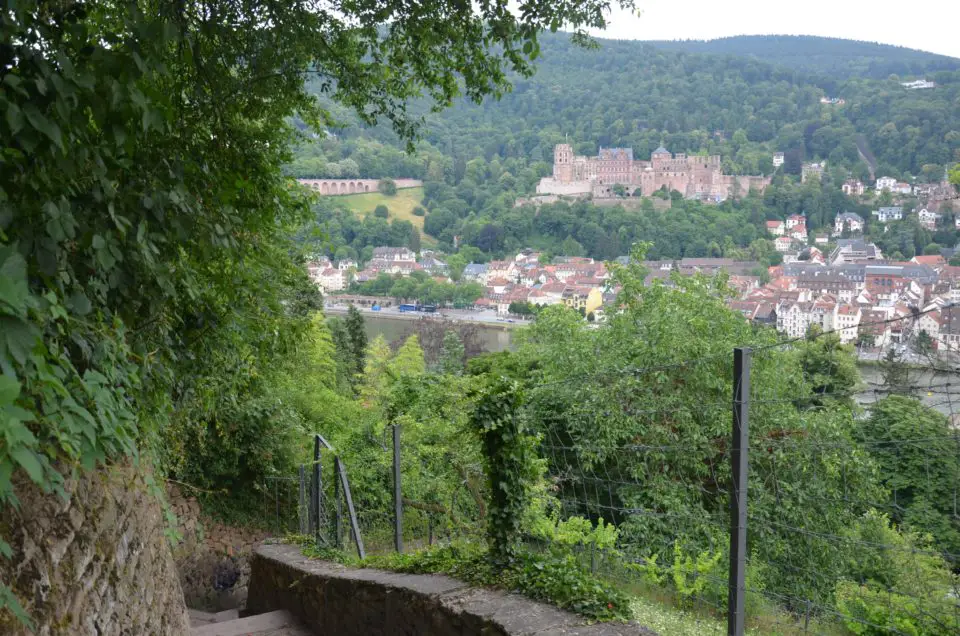 Im Heidelberg Sehenswürdigkeiten Rundgang geht es manchmal auch bergab, z. B. am Schlangenweg.