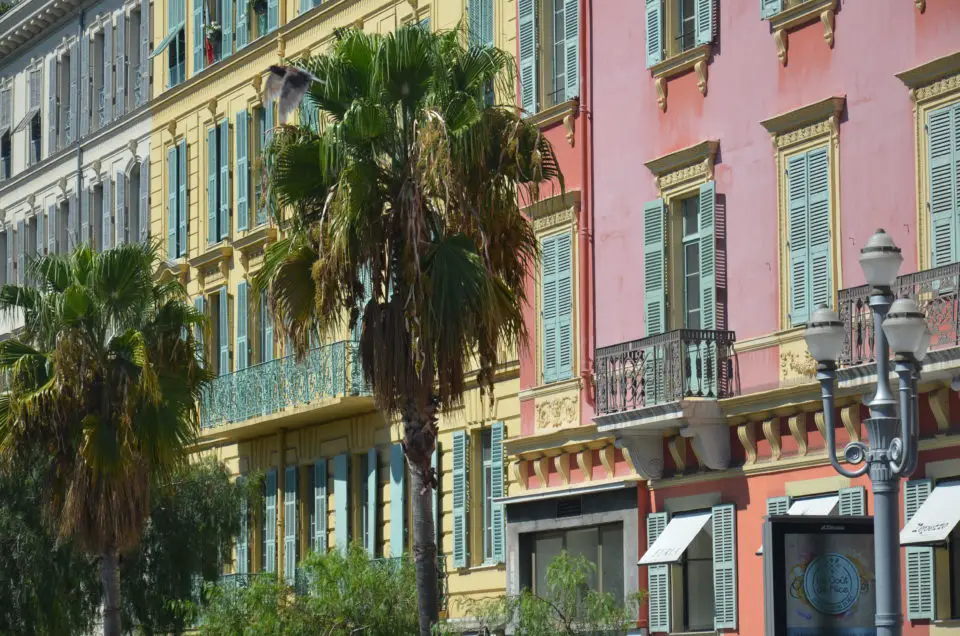 Nizza Tipps: Bei deinem Nizza Sehenswürdigkeiten Rundgang wirst du an vielen schönen Fassaden und Palmen vorbeikommen.