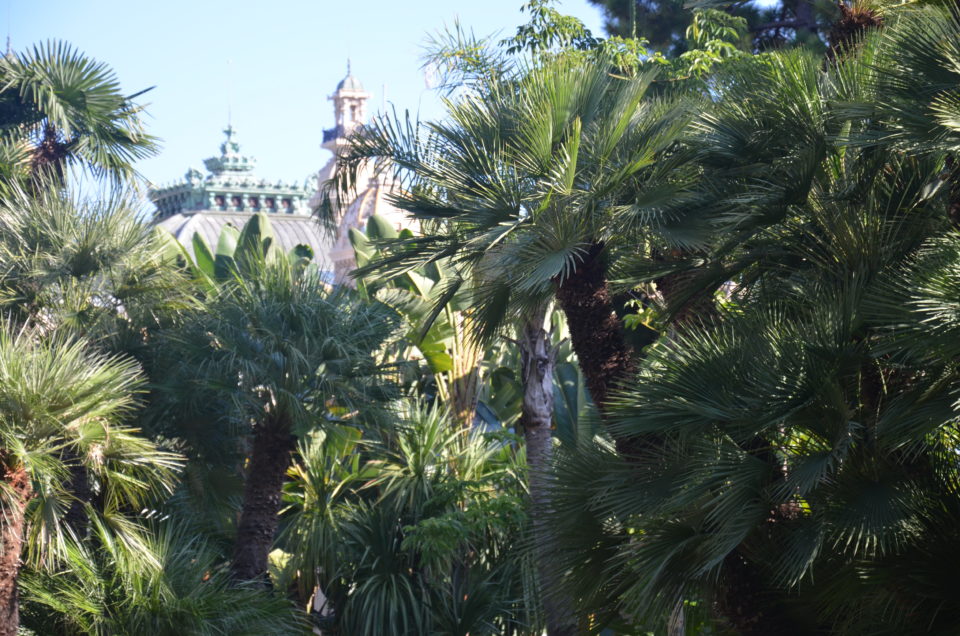 Einer meiner Monaco Tipps sind die Jardins du Casino de Monte Carlo.