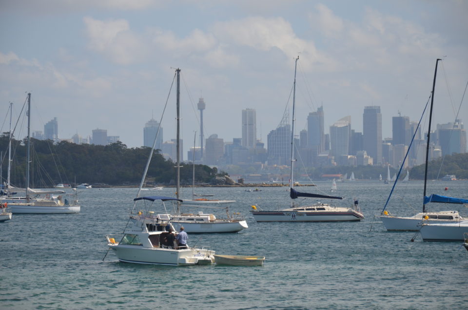 In meinen Sydney Reisetipps gehe ich auch auf Hafenrundfahrten und Bootsfahrten zum Whalewatching ein.