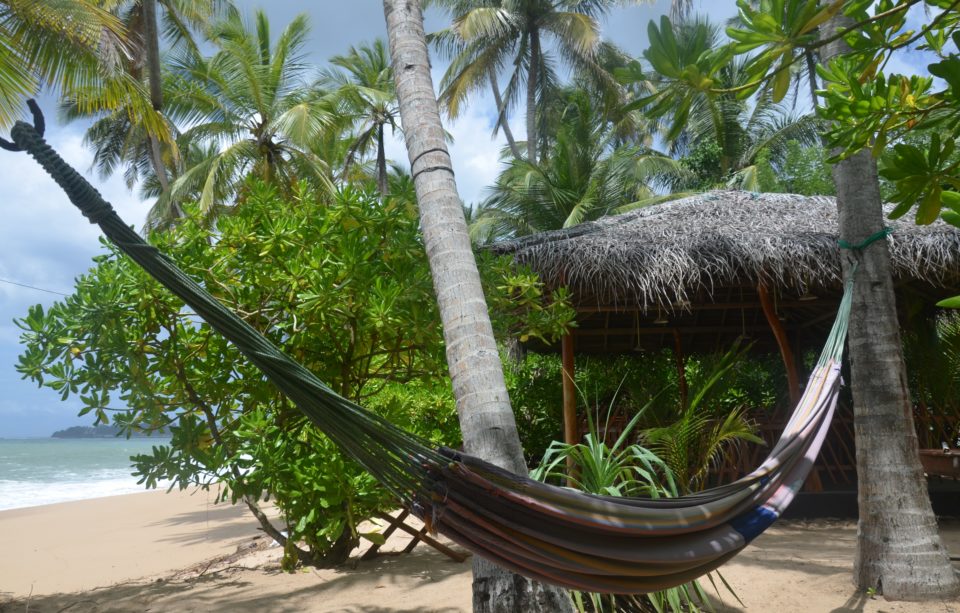 In meinen Sri Lanka Tipps gebe ich dir Hinweise zur Anreise, damit du entspannt in der Hängematte am Strand ankommst.
