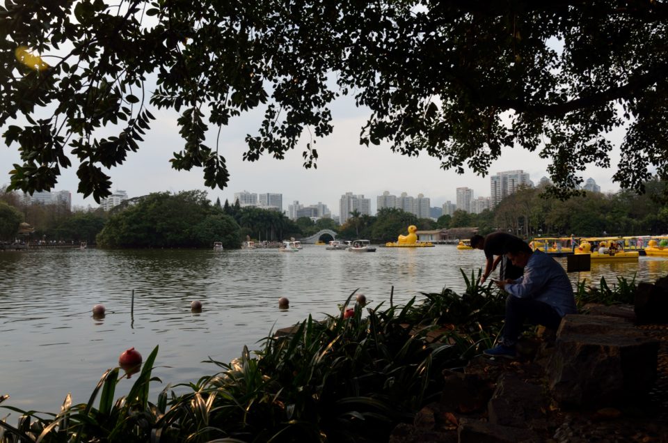 Hongkong Insider Tipps: Der Lychee Park in Shenzhen ist definitiv einen Ausflug wert.