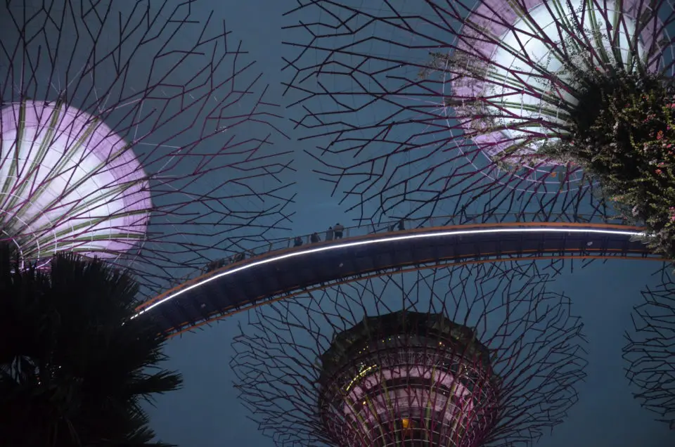 In meinen Singapur Reisetipps gebe ich dir die Infos, um die Stadt rund um die Supertrees perfekt erkunden zu können.