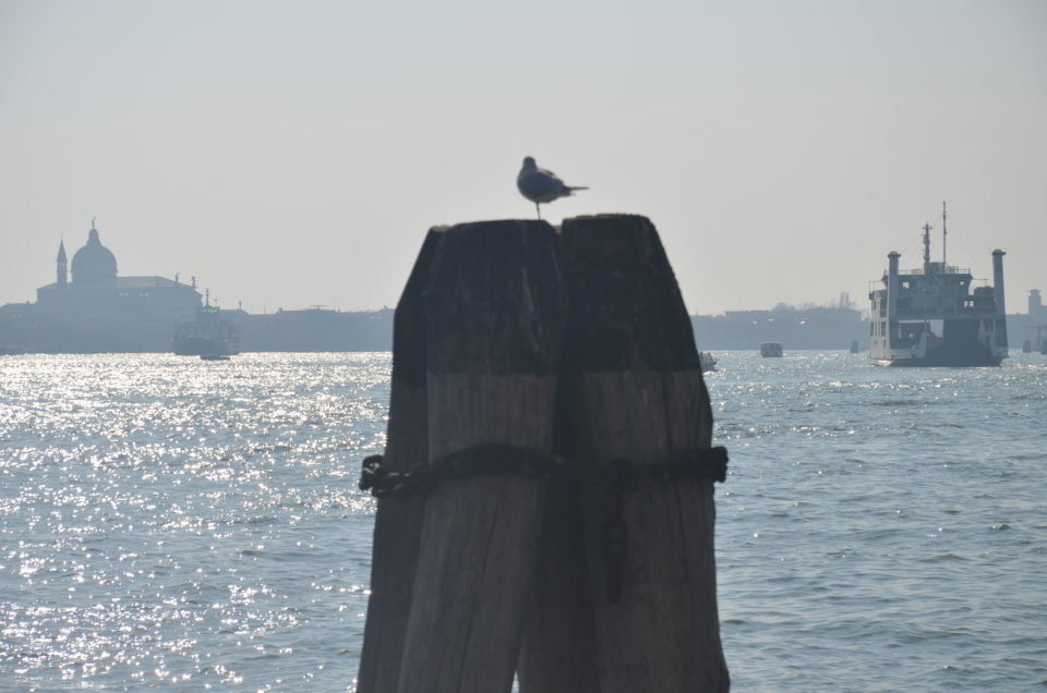 In meinen Venedig Übernachtungstipps gebe ich dir wichtige Hinweise zu den Unterkünften entlang der Lagune.
