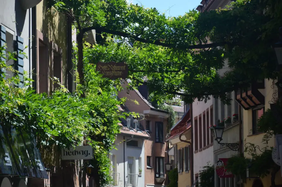 In den Freiburg Sehenswürdigkeiten Rundgang solltest du die Konviktstraße integrieren.