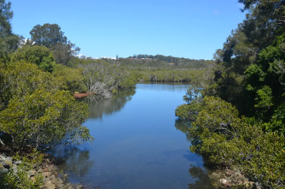 Eine der Port Macquarie Sehenswürdigkeiten ist der Kooloonbung Creek.