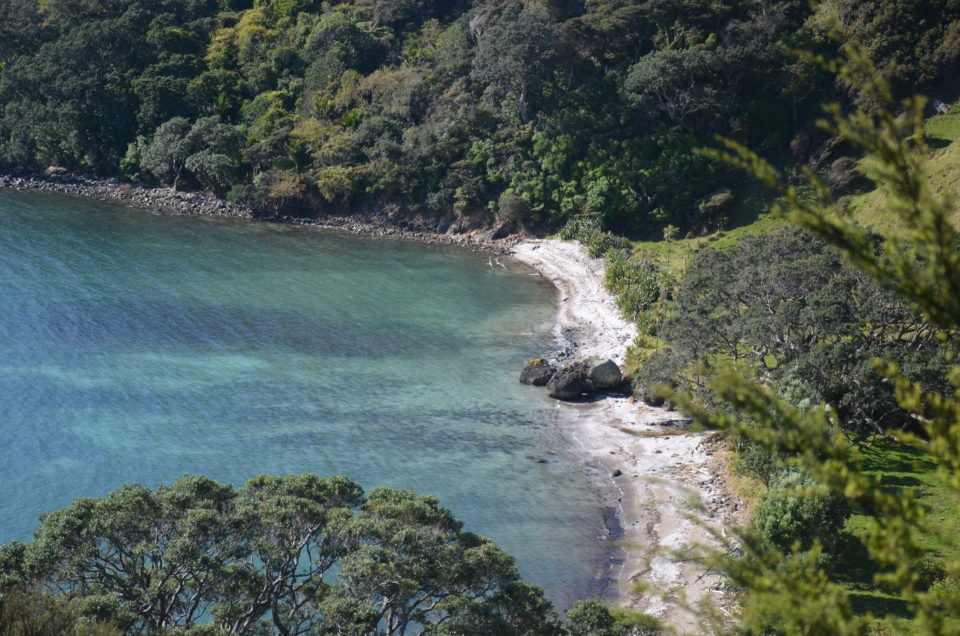 Coromandel sehenswertes: Zu meinen Coromandel Tipps zählt auch der einsame Strand nördlich der Tucks Bay.