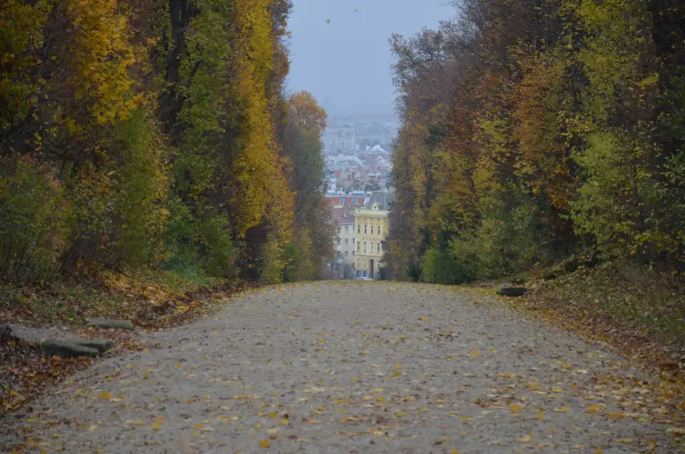 Einer meiner Wien Tipps ist es, das Schloss Schönbrunn auch abseits der Trampelpfade zu erkunden.