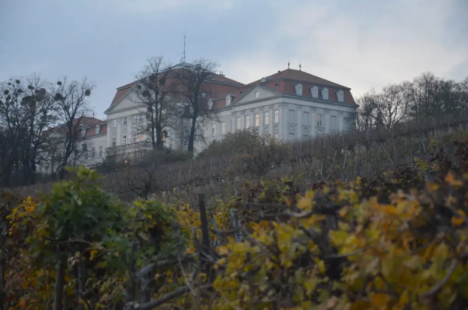 Meine Wien Reisetipps beinhalten auch Infos zu guten Unterkünften in praktischer Lage, zu denen das Schloss Wilhelminenberg aber eher nicht gehört.