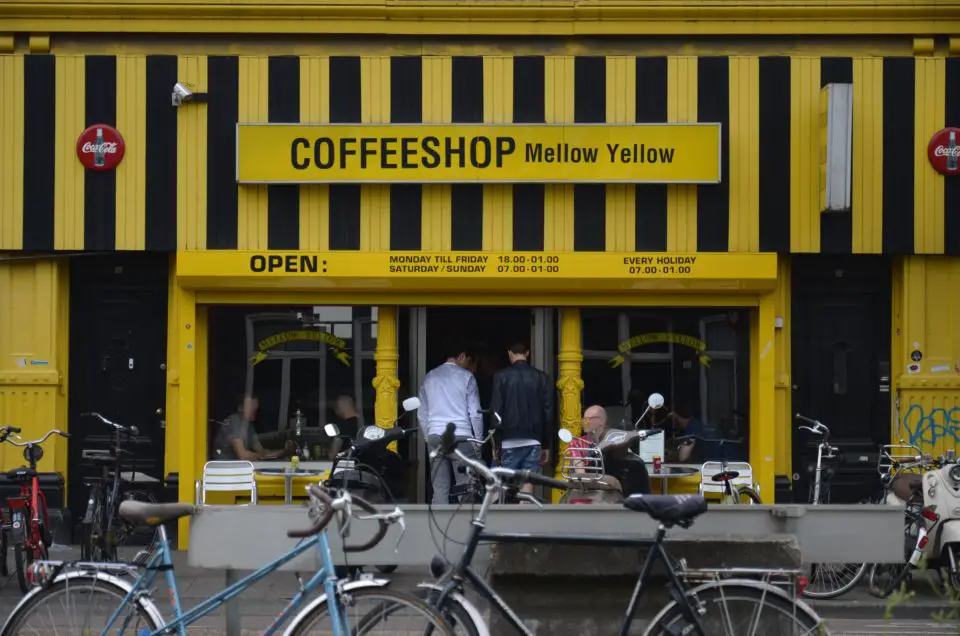 Einige Amsterdam Stadtführungen bringen dir die Coffeeshop-Kultur in Amsterdam näher.