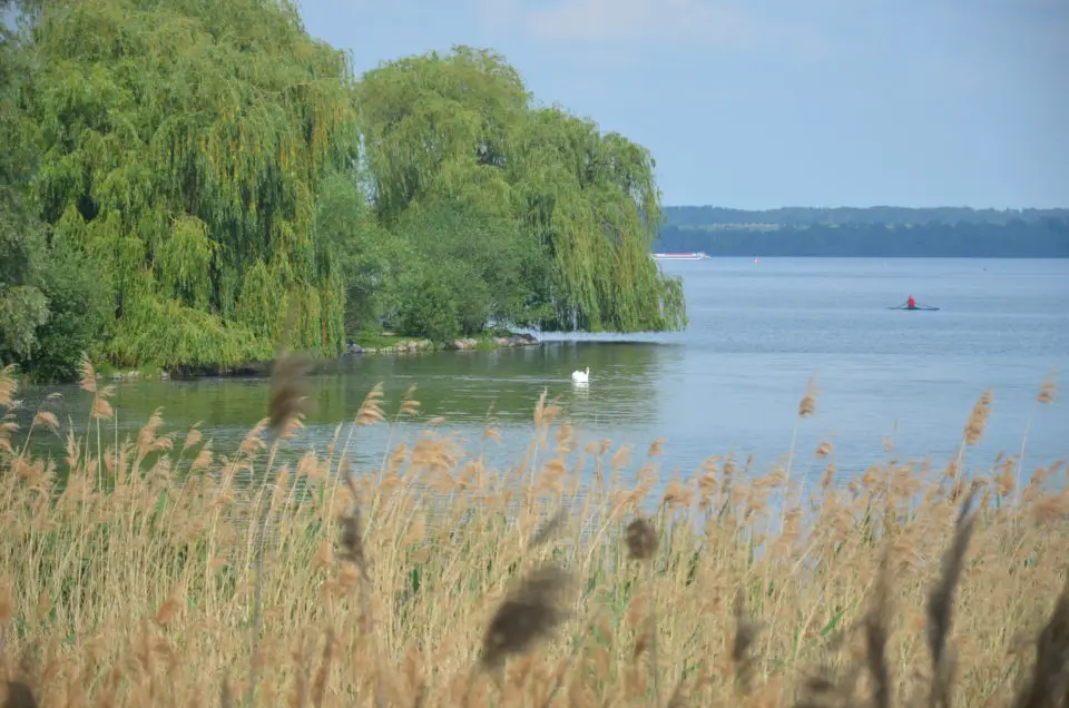 Schwerin Geheimtipps enthalten auch Infos zur Erkundung des Schweriner Sees per Boot.