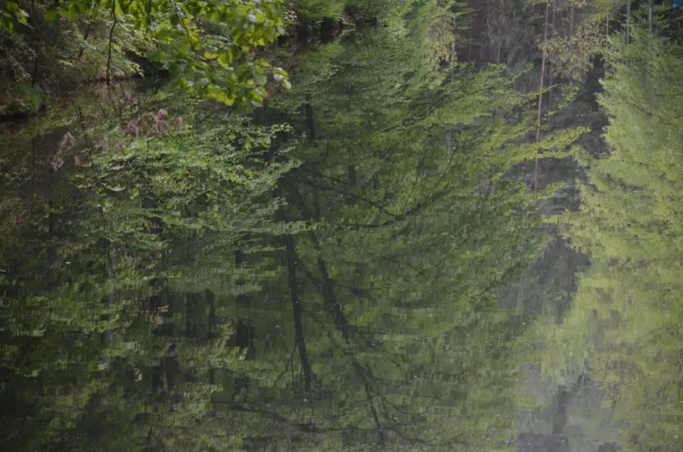 Zu den Meißen Geheimtipps im Stadtwald gehört der Königssee.