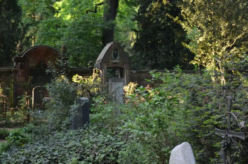 Zu den Heidelberg Insider Tipps gehört ein Spaziergang über den Bergfriedhof.
