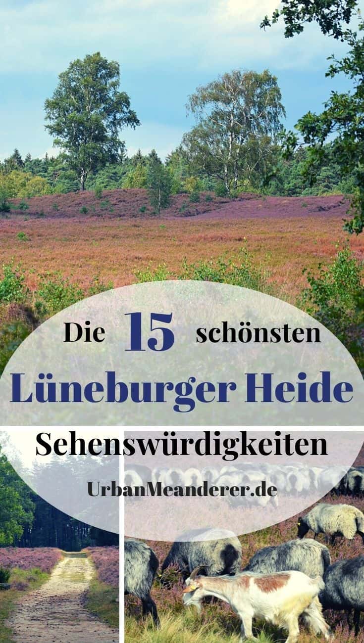 Hier stelle ich dir die Top 15 Lüneburger Heide Sehenswürdigkeiten & Ausflugsziele vor und nenne dir wichtige Tipps für deine Reiseplanung!