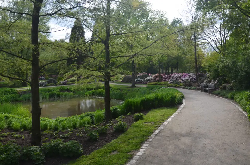 Zu den schönsten Bremen Sehenswürdigkeiten gehört der Rhododendronpark.