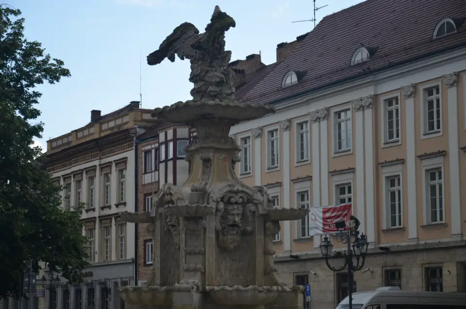 Zu Tipps für Stettin gehören auch informative Stadtführungen rund um plac Orła Białego und Co.
