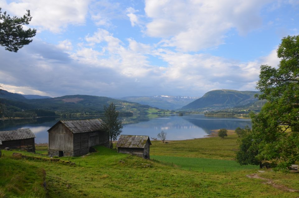 Meine Norwegen Rundreise Route führte zum Lønavatnet.