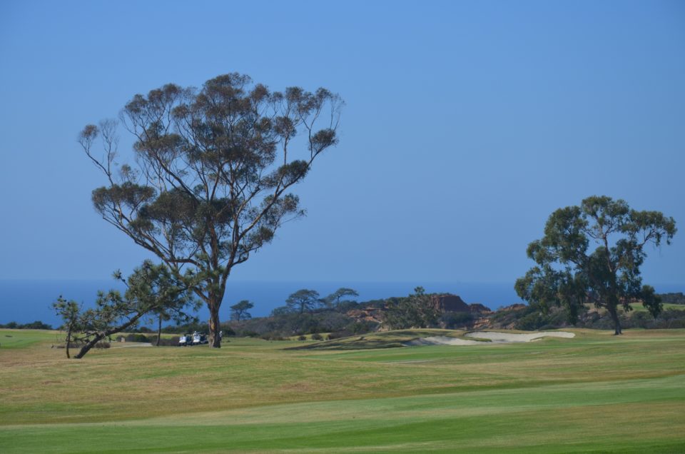 San Diego Hotel Tipps gibt es im Umkreis des Torrey Pines Golf Course.