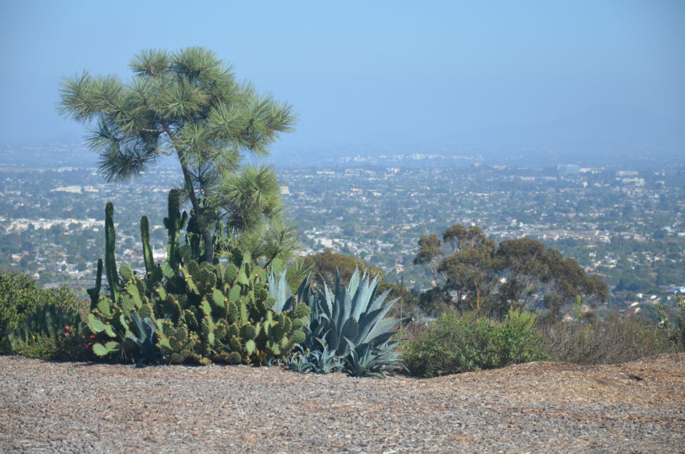 San Diego Geheimtipps rund um den Mount Soledad findest du auch in Reiseführern.