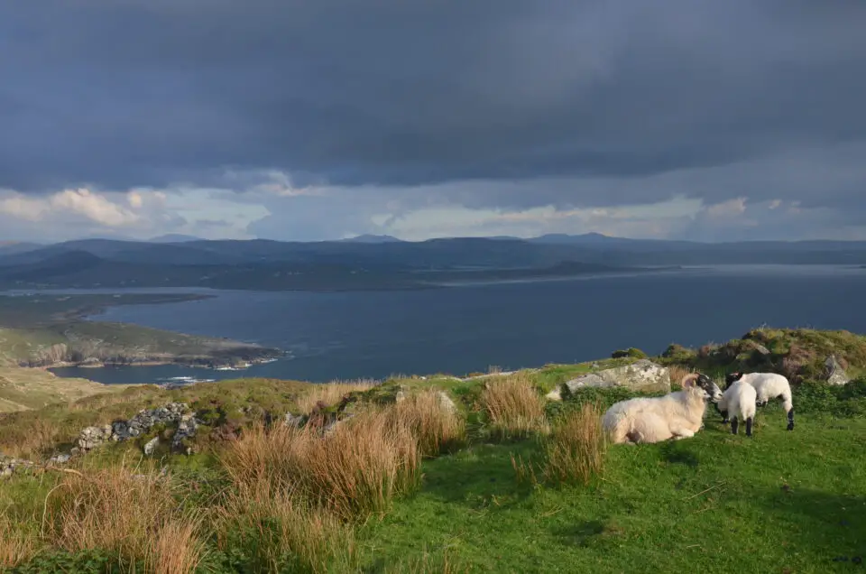 Zu den Irland Geheimtipps zählt für mich der Weg zum Crohy Head Sea Arch in Donegal.