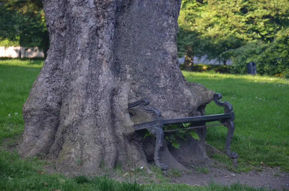 Bei Insidertipps Dublin ist der Hungry Tree zu nennen.