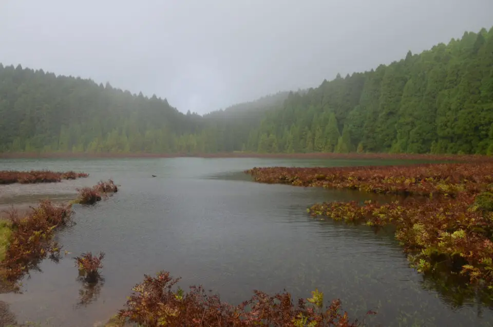 Sao Miguel schönste Orte: die Lagoa do Canário darf unter Sao Miguel Sehenswürdigkeiten nicht fehlen.