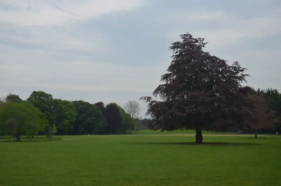 Den Dublin Sehenswürdigkeiten ist auch der Phoenix Park zuzurechnen.