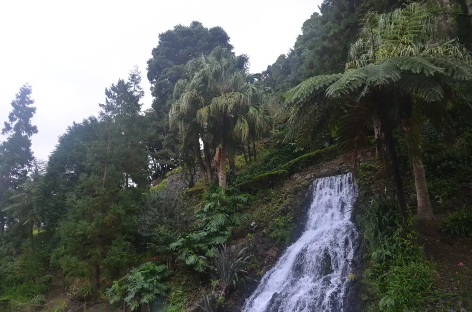 Unter Sao Miguel Geheimtipps darf der Botanische Garten Ribeira do Guilherme nicht fehlen.