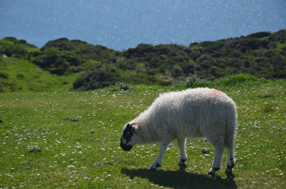 Zu meinen Irland Geheimtipps gehört der malerische Ring of Beara.