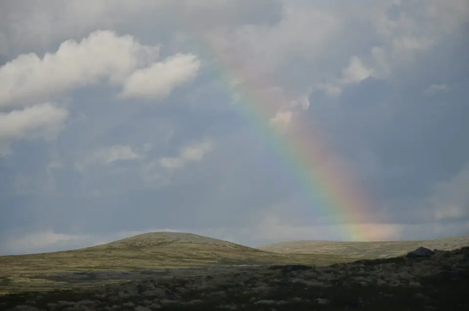 Zu meinen Norwegen Geheimtipps gehört der Rondane Nationalpark.