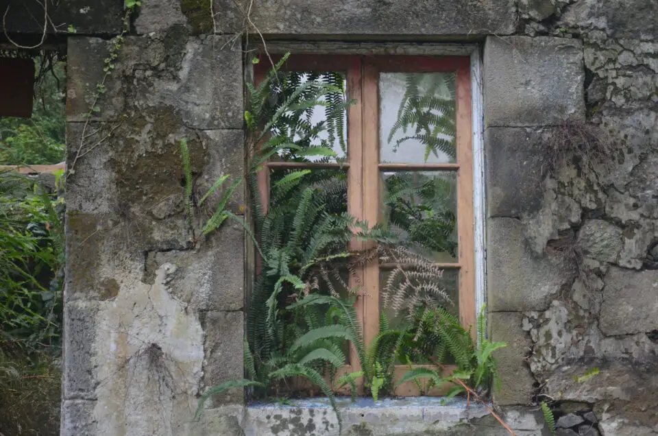 In meinen Sao Miguel Insidertipps gehe ich auch auf gute Unterkünfte ein.