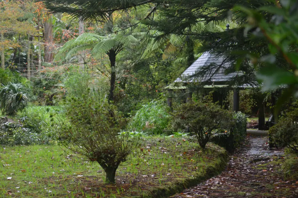 Zu den beliebtesten Sao Miguel Sehenswürdigkeiten zählt der Terra Nostra Park in Furnas.