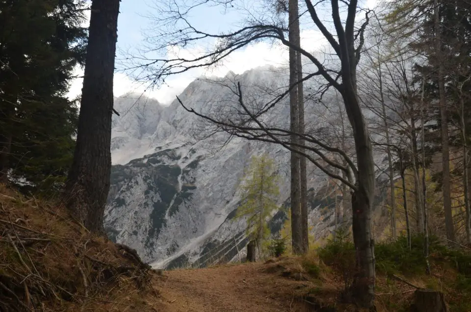 Unter Ljubljana Insider Tipps darf nicht unerwähnt bleiben, dass die Alpen schnell erreicht sind.