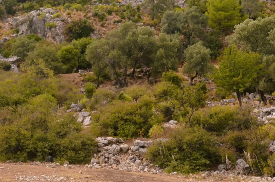 Unter Antalya Insider Tipps ist der Güver Canyon zu nennen.