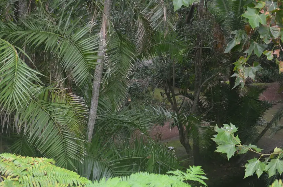 Zu den Málaga Insider Tipps zählt der Jardín Botánico-Histórico La Concepción.